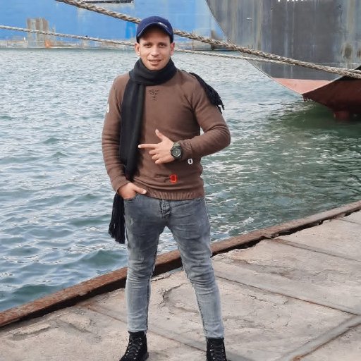 شركة الفا جروب في الإسكندرية
